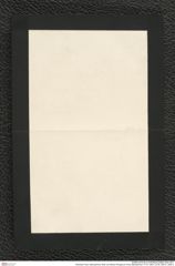 Nachlass Franz Steindachner, Brief von Alberto Perugia an Franz Steindachner (17.01.1881), Inv.Nr. 392.01, Seite 4
